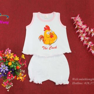 Quần Áo Bé Gái 8kg - 10 kg - 2SNBG