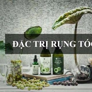 Dầu gội Đặc Trị Rụng Tóc Amla