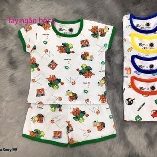 Quần Áo Bé Gái 10kg - 12kg - 3TNB