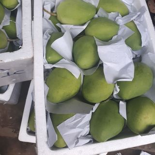 xoài cát chu