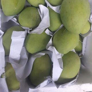 xoài cát chu