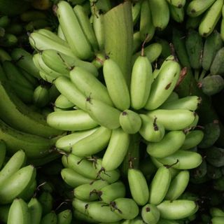 Chuối cau Rặt miền tây