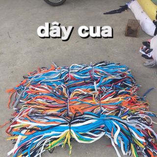 Dây buộc cua