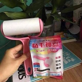 Cây lau bụi quần áo