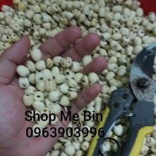 Hạt sen khô Hưng yên