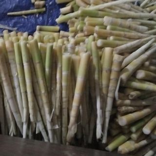 măng ớt đầu mua trạm tấu