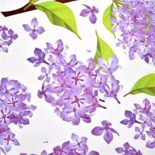 Decal Dán Tường Hoa Tím