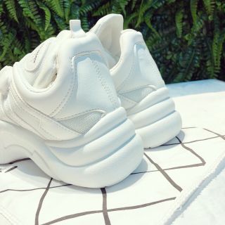 giày sneaker xuất Hàn Quốc