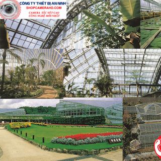 trọn bộ 1 camera giá rẻ