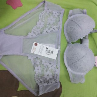 set hoa cúc Marguerite