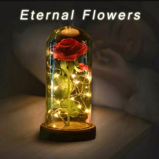 đèn ngủ hoa hồng