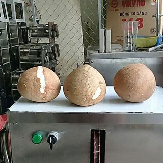 máy bóc tách gáo dừa khô