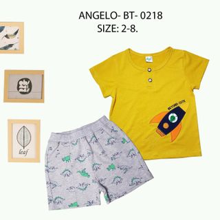 chuyên bỏ sĩ bán buôn quần áo thời trang trẻ em baby Angelokidz và Beekidz
