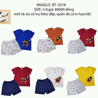 chuyên bỏ sĩ bán buôn quần áo thời trang trẻ em baby Angelokidz và Beekidz giá sỉ