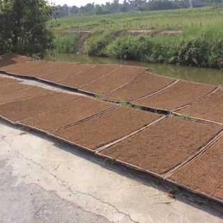 Thuốc lào tiên lãng