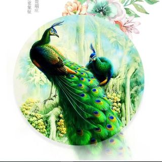 Đồng Hồ Trang Trí Treo Tường Chim Công BMTT05