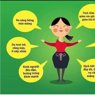 Mầm đậu nànhThanh Mộc Hương