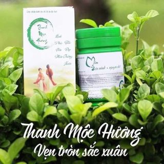 Mầm đậu nànhThanh Mộc Hương