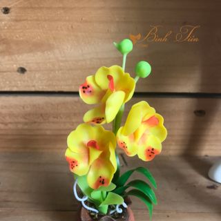 Hoa đất sét - Chậu hoa vanda vàng mini giá sỉ