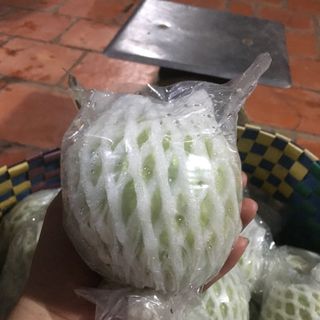 Ổi nữ hoàng