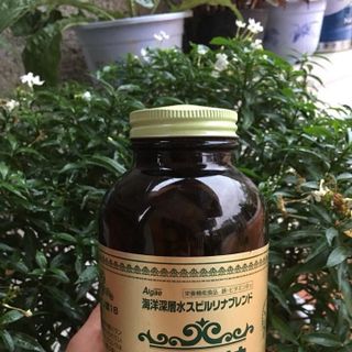 Tảo Spirulina