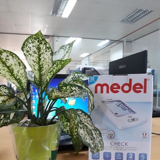 Tìm sỉ máy đo huyết áp điện tử Medel Control