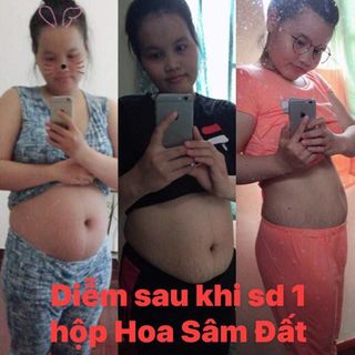 Trà HOA SÂM ĐẤT trà giảm cân