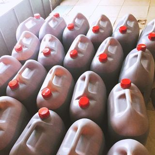Sốt sô cô la lỏng phủ bánh kem nhúng trái cây Figo Chuyên sỉ số lượng lớn