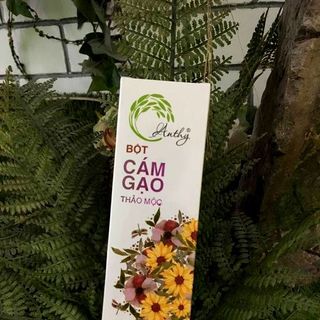 Bột Cám Gạo Thảo Mộc AnThy