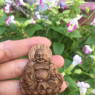 mặt trầm gió