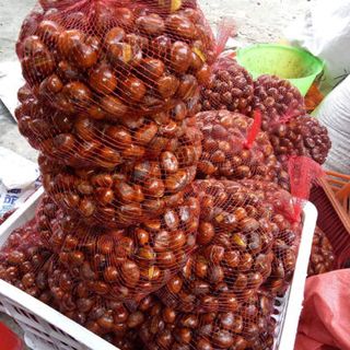 Sỉ Lẻ Hạt Dẻ Rang Sẵn