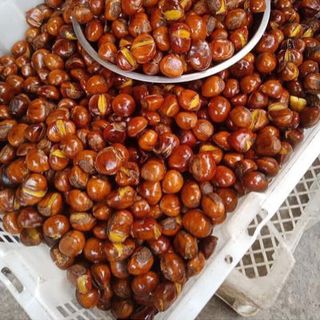 Sỉ Lẻ Hạt Dẻ Rang Sẵn