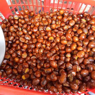 Sỉ Lẻ Hạt Dẻ Rang Sẵn