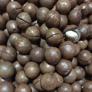 mắc ca