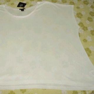 T Shirt nữ