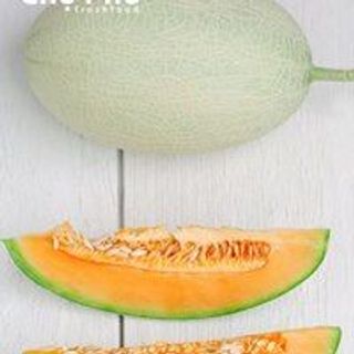DƯA LƯỚI AB SWEET DƯA DÀI- RUỘT CAM