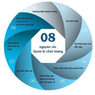 Gói tư vấn chứng nhận ISO 90012015 - Chuyên nghiệp - Giá tốt