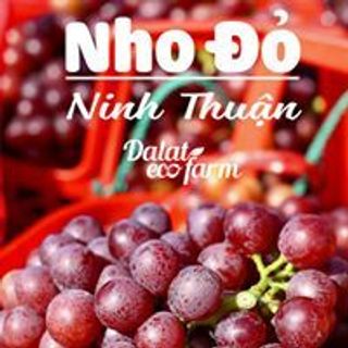 NHO ĐỎ NINH THUẬN