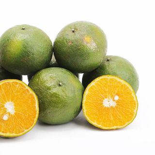CAM SÀNH HỮU CƠ