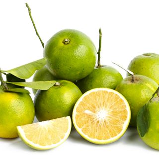 CAM XOÀN