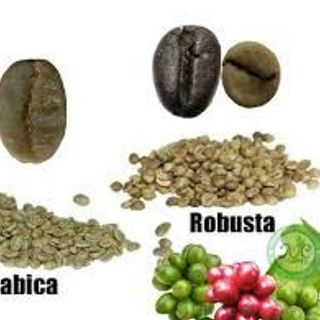 máy pha cà phê