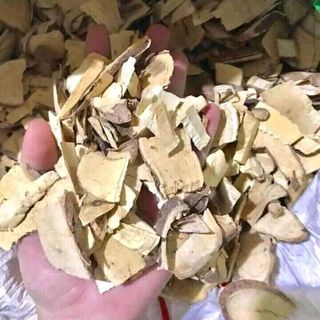Rễ cây trị mụn