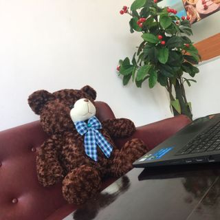 Gấu Bông Teddy Mềm Mịn