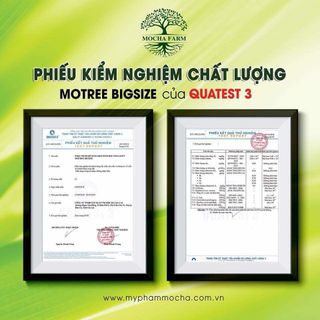 Son kem thiên nhiên LeVon -