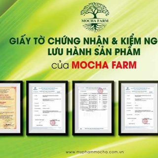 son thỏi MoCha - - TẶNG KÈM TẨY TRANG