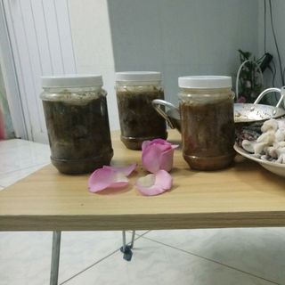 Mắm sặc