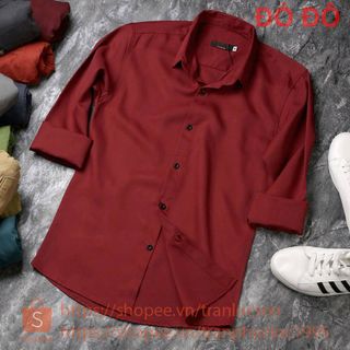 Áo sơmi màu trơn body hàn quốc