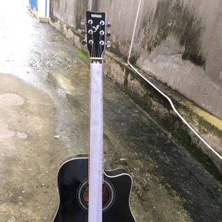guitar yamaha f6000