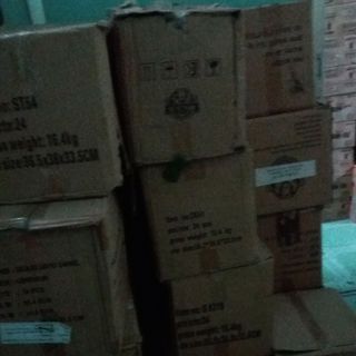 Ly Bia sư tử trắng