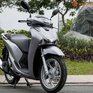 Thanh Lí Xe Giá Rẻ